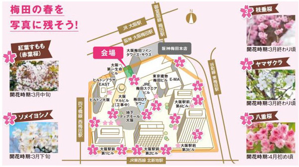 「大阪ダイヤモンドフェスタ2024 ～Spring～」を3月20日（水・祝）～4月15日（月）に開催します