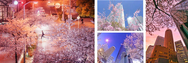 「大阪ダイヤモンドフェスタ2024 ～Spring～」を3月20日（水・祝）～4月15日（月）に開催します