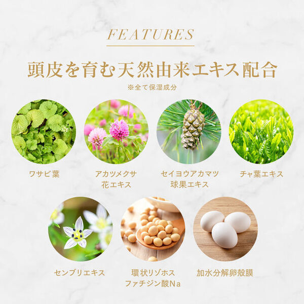 髪の二大悩み「薄毛」と「白髪」にアプローチ　スキンケアメーカーが本気で作った養毛料「イナータス シュヴー」2024年3月15日に新発売