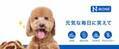アメリカで大人気の天然歯磨きブランドN-BONE＜Nボーン＞から“米粉”主成分の愛犬用デンタルケア商品が日本に初上陸！！