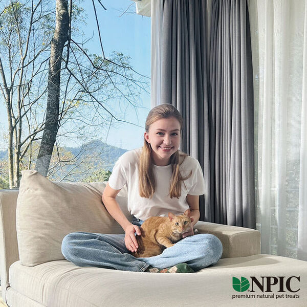 アメリカで大人気の天然歯磨きブランドN-BONE＜Nボーン＞から“米粉”主成分の愛犬用デンタルケア商品が日本に初上陸！！