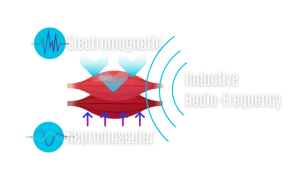 25分で全身ケア！海外セレブに愛される全く新しい痩身マシンWONDER Axonが日本初上陸