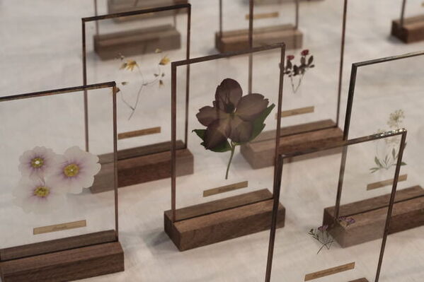 開園35周年を迎える「つくば牡丹園」「PEONY GARDEN 2024」4月6日(土)～5月19日(日)今年も、44日間のみの開園が決定