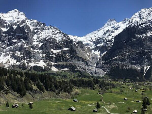 放映50周年記念特別企画『アルプスの少女ハイジ展』を3月22日より池袋東武 8階催事場にて開催！　そのほか、食品フロアやレストラン街にてコラボグルメを販売！