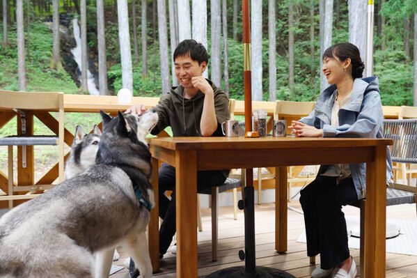 日光でワンちゃんとお花見ができるドッグラン付きグランピング！お花見＆バーベキューが楽しめる新プランを3月19日より販売
