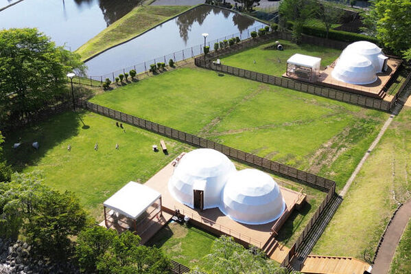 日光でワンちゃんとお花見ができるドッグラン付きグランピング！お花見＆バーベキューが楽しめる新プランを3月19日より販売