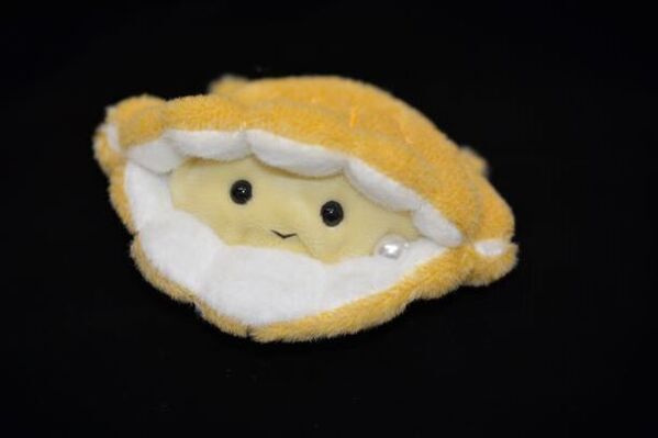 “貝の秘密を見に来ないカイ？”しながわ水族館の春の特別展「カイつまんで、ヒモときます。～しな水の貝展～」を開催