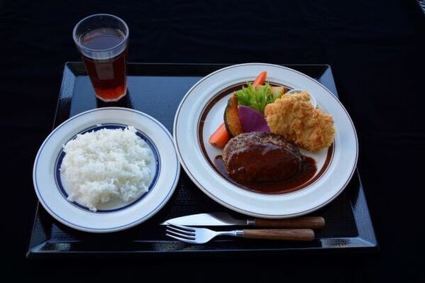 “貝の秘密を見に来ないカイ？”しながわ水族館の春の特別展「カイつまんで、ヒモときます。～しな水の貝展～」を開催
