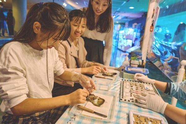 “貝の秘密を見に来ないカイ？”しながわ水族館の春の特別展「カイつまんで、ヒモときます。～しな水の貝展～」を開催