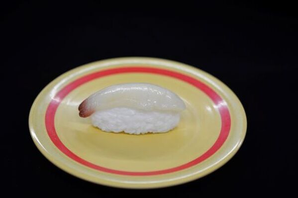 “貝の秘密を見に来ないカイ？”しながわ水族館の春の特別展「カイつまんで、ヒモときます。～しな水の貝展～」を開催