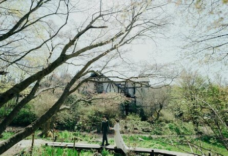 node×ROKKO森の音ミュージアム新ウェディングフォトプラン美しい森の中で叶うロケーションフォト【ROKKO森の音ミュージアム】