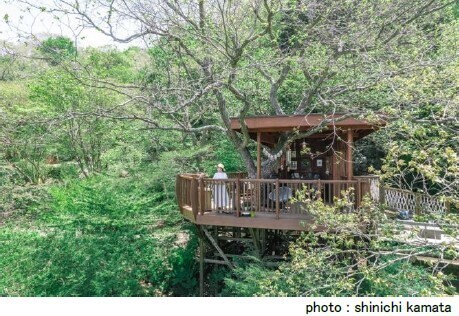 node×ROKKO森の音ミュージアム新ウェディングフォトプラン美しい森の中で叶うロケーションフォト【ROKKO森の音ミュージアム】