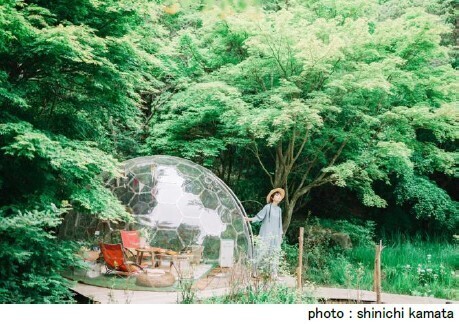 node×ROKKO森の音ミュージアム新ウェディングフォトプラン美しい森の中で叶うロケーションフォト【ROKKO森の音ミュージアム】