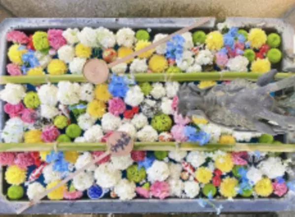 「長岡京のたけのこフェア」を3月23日～5月6日開催！食べて、買って、Webアンケートに答えて抽選で10名様にたけのこグルメをプレゼント