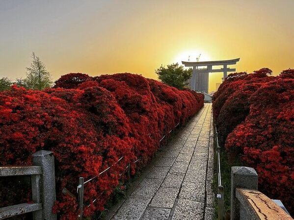 「長岡京のたけのこフェア」を3月23日～5月6日開催！食べて、買って、Webアンケートに答えて抽選で10名様にたけのこグルメをプレゼント