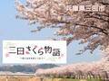 兵庫県三田市「三田さくら物語」プロジェクト　『さんだ桜まつり2024』令和6年3月30日に開催！実施中のクラウドファンディングも3月31日まで寄附を受付
