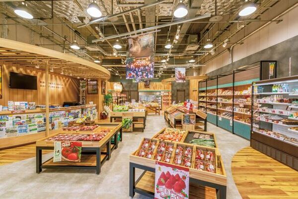 ＜岐阜県の“伝統文化”と“革新性”を体感できる、JR岐阜駅直結のアンテナショップ＞「THE GIFTS SHOP(ザ・ギフツショップ)」2024年4月6日(土)リニューアルオープン！