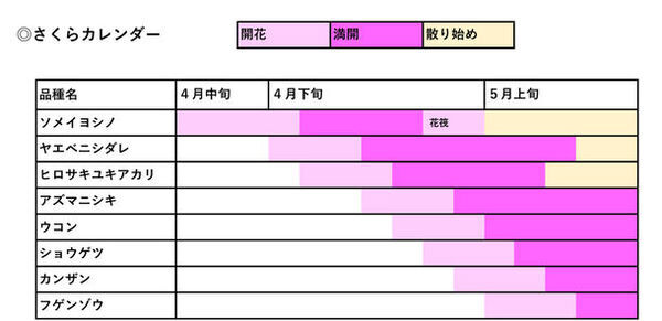 「弘前さくらまつり」2024年4月19日～5月5日開催　弘前桜物語 ～七にまつわる桜の物語～