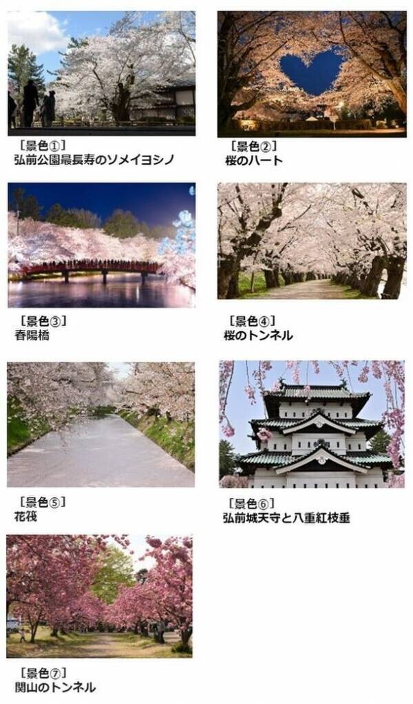 「弘前さくらまつり」2024年4月19日～5月5日開催　弘前桜物語 ～七にまつわる桜の物語～