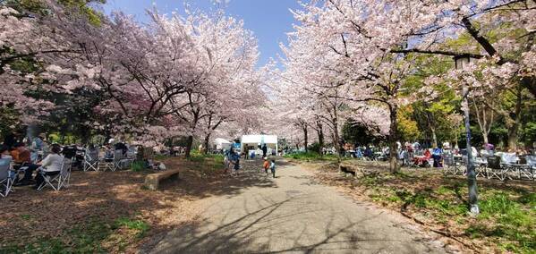 【2024年3月22日（金）】人気の期間限定・バーベキューエリアOPEN！「大阪城 森のバーベキュー」
