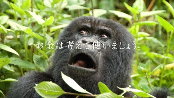 愛がいちばん。アイフル　新TVCM「意外な女将さん」篇　3月27日(水)から全国でオンエア開始　≪抽選でケンコー・トキナー トイカメラ Pieni II グレーが当たるX(旧Twitter)キャンペーンも同時開催！≫