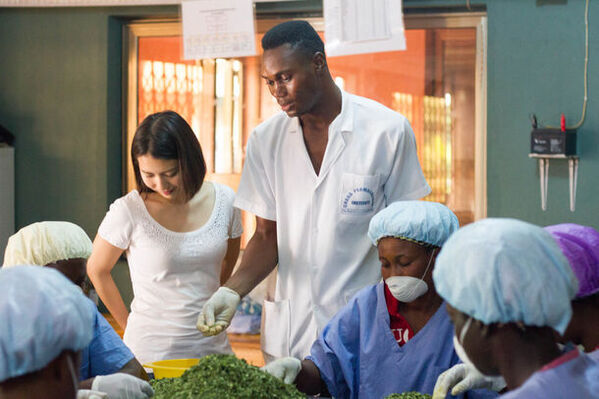 ガーナ産・カカオバター高配合のチョコレートソープ　現地の女性起業をサポートするJUJUBODYより販売開始