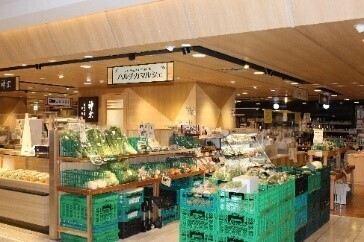 ～フードロス削減へ～「野菜の色で旅する おやさいクレヨン」新発売mizuiro株式会社と地域商品ブランド「irodori kintetsu」による共同開発