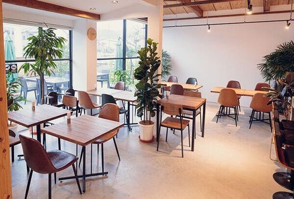 医師×有名店出身シェフがタッグ！逗子のカフェダイニング「桜山茶寮」MCTオイルを使用した、からだ想いのメニューがスタート