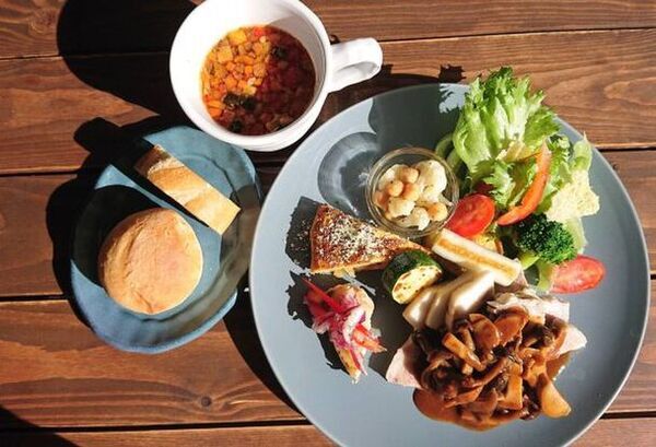 医師×有名店出身シェフがタッグ！逗子のカフェダイニング「桜山茶寮」MCTオイルを使用した、からだ想いのメニューがスタート