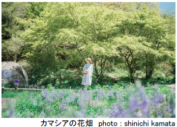 ROKKO森の音ミュージアムSIKIガーデンEarly Summer Seasonツツジ、オオデマリなどに彩られた初夏のガーデン2024年5月7日（火）～6月21日（金）