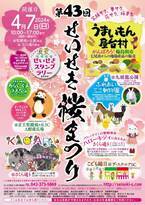 「第43回せいせき桜まつり」４月７日（日）開催！