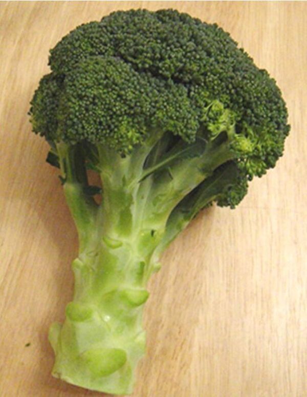 話題の健康野菜・ブロッコリーを食べるなら「オリーブオイル」が欠かせない理由　オリーブオイル健康ラボ 季節のおすすめコラムを公開