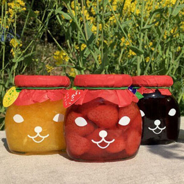 合計1,300ブース！全国から25,000点以上の手づくり作品が集結！「札幌ハンドメイドマルシェ2024」5/25(土)26(日)に開催！