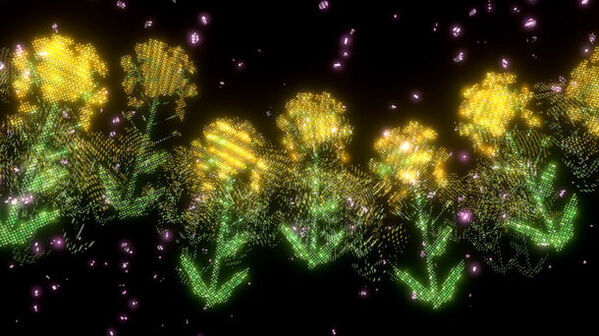 延岡城跡の夜空に映し出される3D映像作品光と音で奏でる『ワイワイ花宵物語AirMappingShow2024』を公開