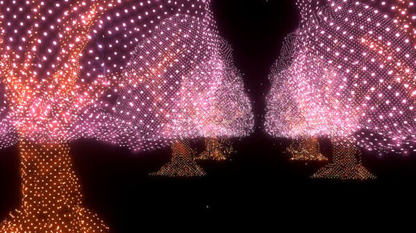 延岡城跡の夜空に映し出される3D映像作品光と音で奏でる『ワイワイ花宵物語AirMappingShow2024』を公開