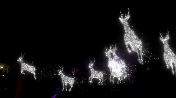 延岡城跡の夜空に映し出される3D映像作品光と音で奏でる『ワイワイ花宵物語AirMappingShow2024』を公開