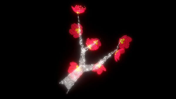 延岡城跡の夜空に映し出される3D映像作品光と音で奏でる『ワイワイ花宵物語AirMappingShow2024』を公開