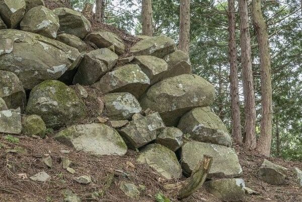 最も権威のある日本唯一の城郭関連顕彰事業　第3回日本城郭協会大賞「増山城解説ボランティア曲輪の会」が受賞