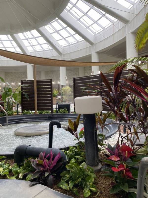 神戸しあわせの村「ジャングル温泉しあわせの湯」年間20万人が訪れる人気の温泉が営業再開