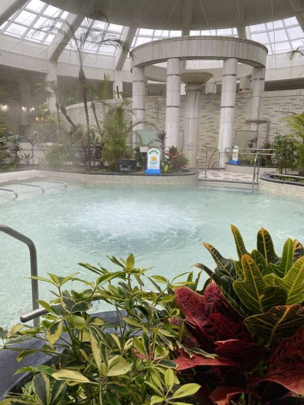 神戸しあわせの村「ジャングル温泉しあわせの湯」年間20万人が訪れる人気の温泉が営業再開