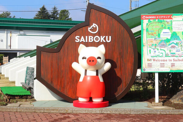 埼玉県 日高市・豚のテーマパーク「サイボク」にてグルメやイベント盛りだくさんの「とこトンまつり」を5/3～6開催