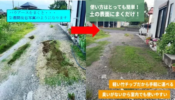 まくだけで植物が健康になる土壌改良材の竹パウダー「パウアース」がネット販売を開始！楽天市場にてECサイトのオープンを発表