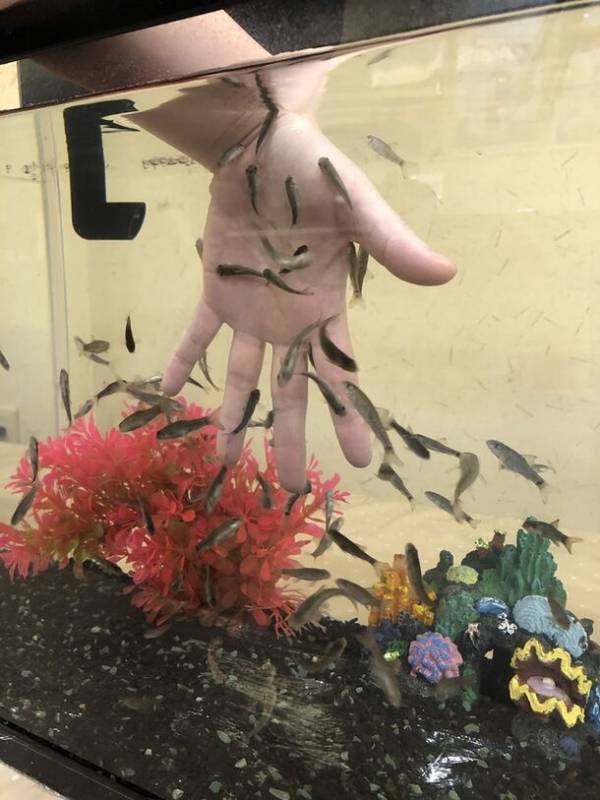 岐阜・お風呂とサウナのエンタメ施設「湯どころ みのり」が「G.W.スペシャルキャンペーン」を4月27日から5月6日まで開催