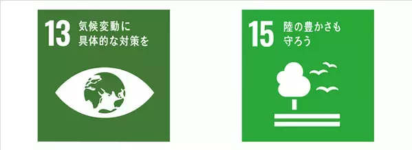 MS＆ADインシュアランス グループ、SDGsの実現に貢献！傘下の保険会社4社共同で森林ファンドへ投資