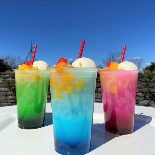 大型連休のお出かけは、飛び跳ねるほど楽しいソレイユで決まり！横須賀「長井海の手公園 ソレイユの丘」、春限定イベント『ソレイユSPRING JUMP！』を4月12日（金）から開催。