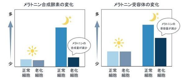 「復活草」「茉莉花」「時計草」に夜間に高まる肌の回復を促す効果を発見