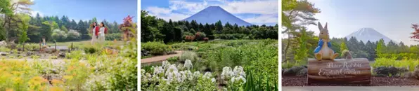 ピーターラビット(TM) イングリッシュガーデンの本年度の営業を4月13日(土)に開始！