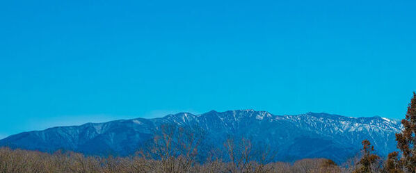 スリーアローズ那須キャンプビレッジに雨や虫から身を守る「ガゼボハウス」付きキャンプサイト登場！4月27日オープン