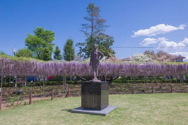 〈『青葉園』埼玉県天然記念物　樹齢700年の大藤〉～3日間限定でライトアップイベントを開催(入園無料)～