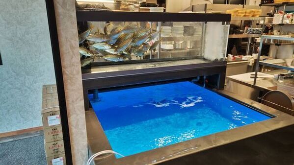 東鯖江に3mを超える巨大つくねが出現！？福井市で人気の「きはちらくはち」が鯖江市に4月11日オープン